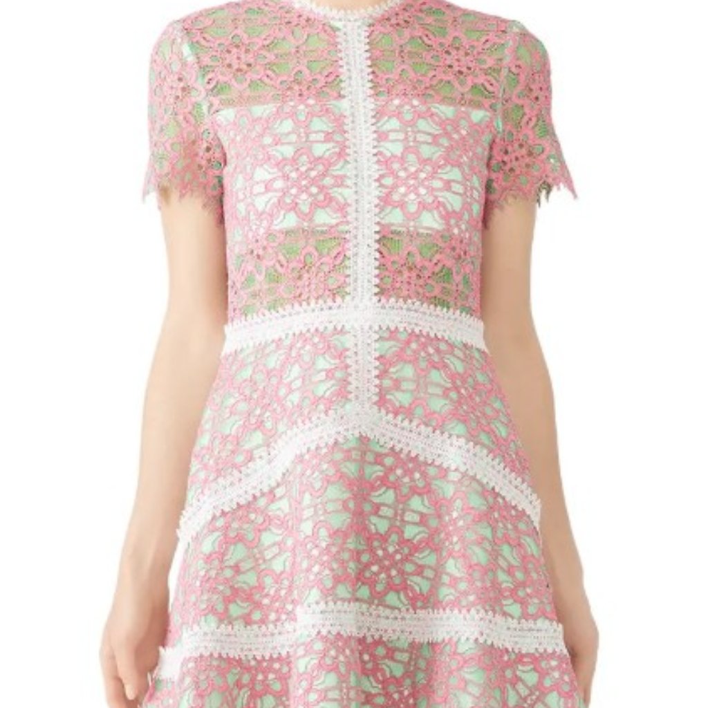 Alexis Floral Lace Midi Dress In Pink And Green